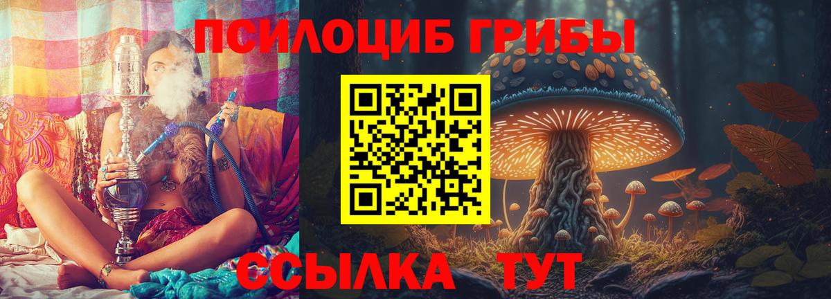 Галлюциногенные грибы мицелий  Вход с VPN  Реж 